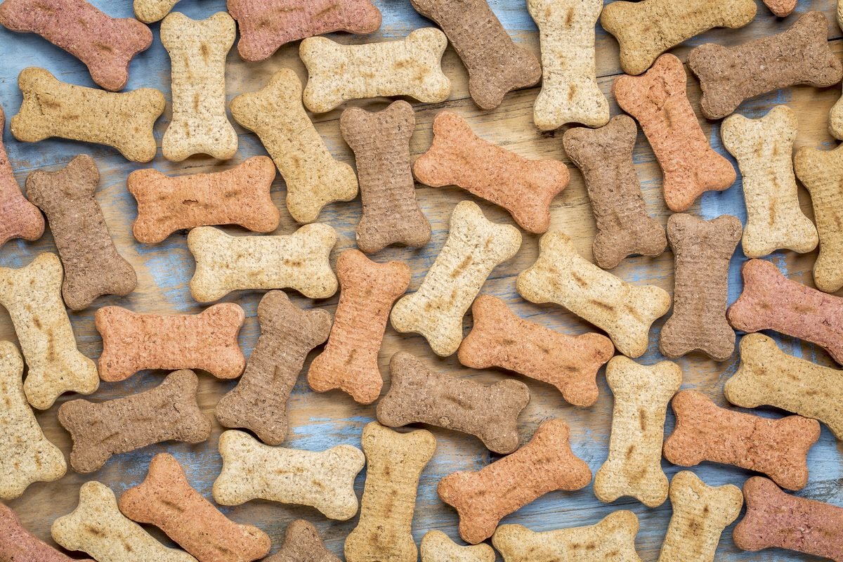 Assorted baked dog treat bones in tan, brown and red on a blue painted wood table